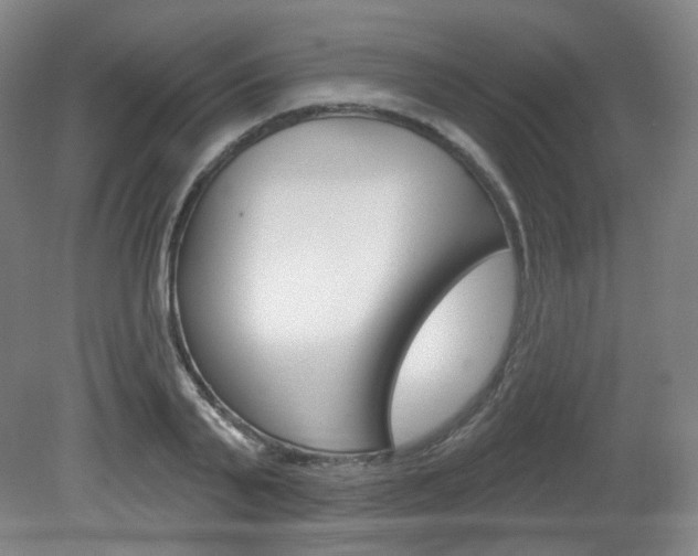 X0000080740791200612150931