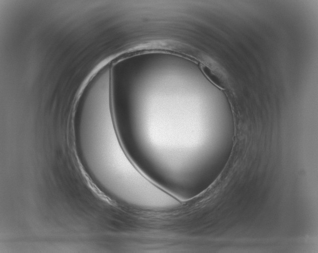 X0000080740792200612150931