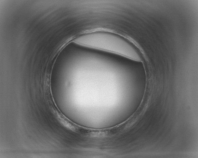 X0000080740793200612150931