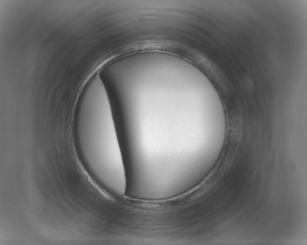 X0000080740794200612150931