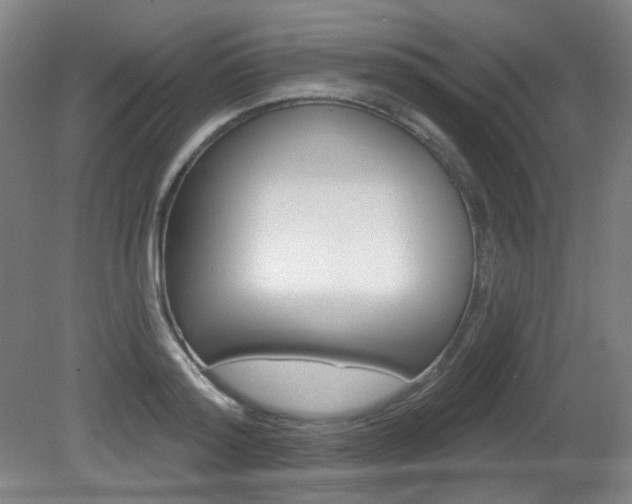 X0000080740796200612150931