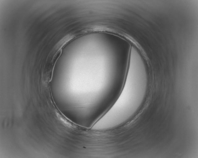 X0000080740801200612150930