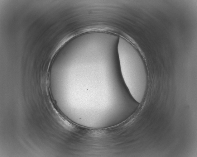 X0000080740802200612150930