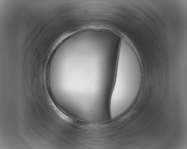 X0000080740803200612150930