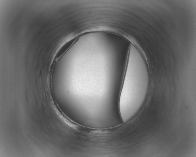 X0000080740805200612150930