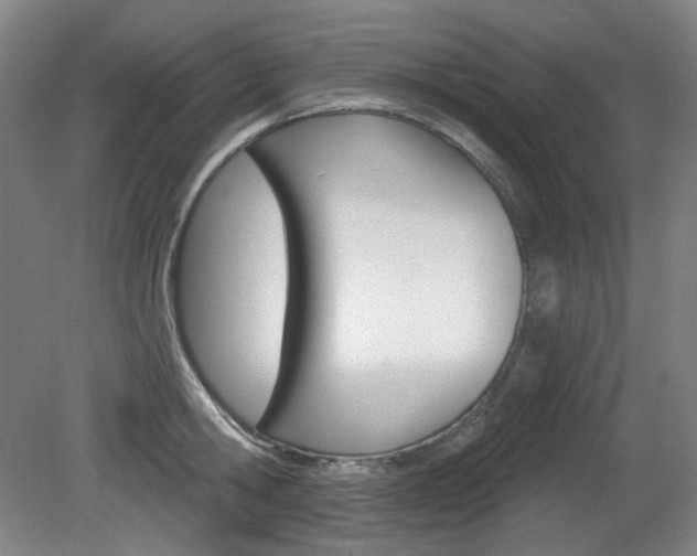 X0000080740806200612150930
