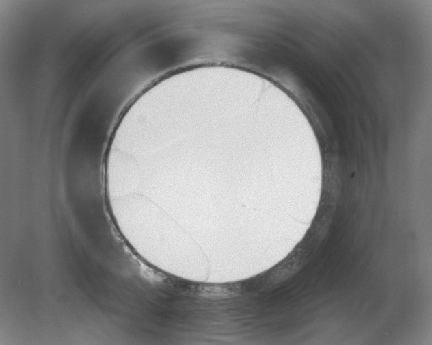 X0000080740807200612150930
