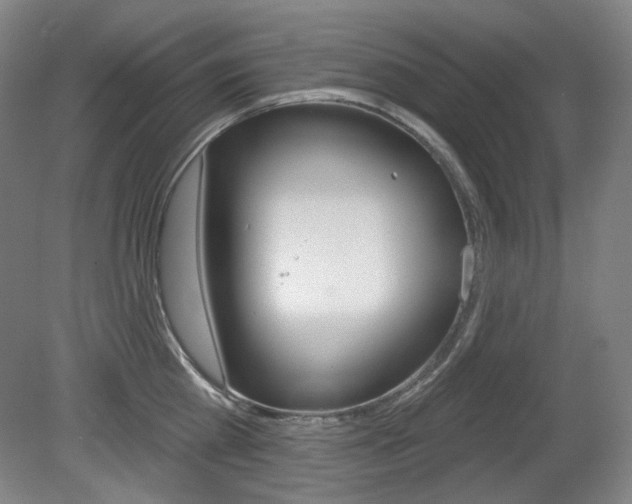 X0000080740809200612150930