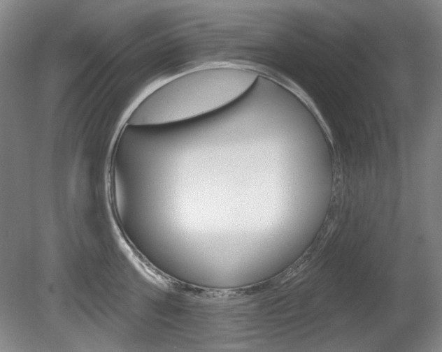 X0000080740811200612150930