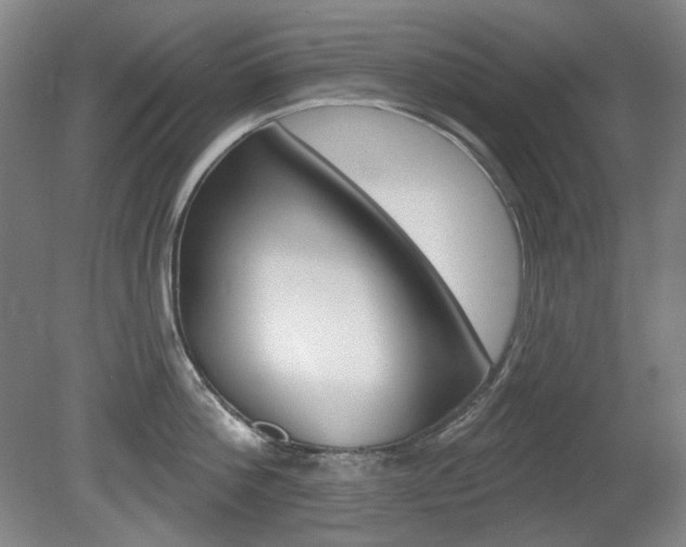 X0000080740812200612150930