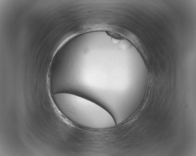 X0000080740814200612150930
