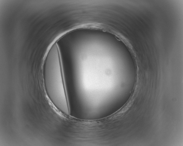 X0000080740816200612150930