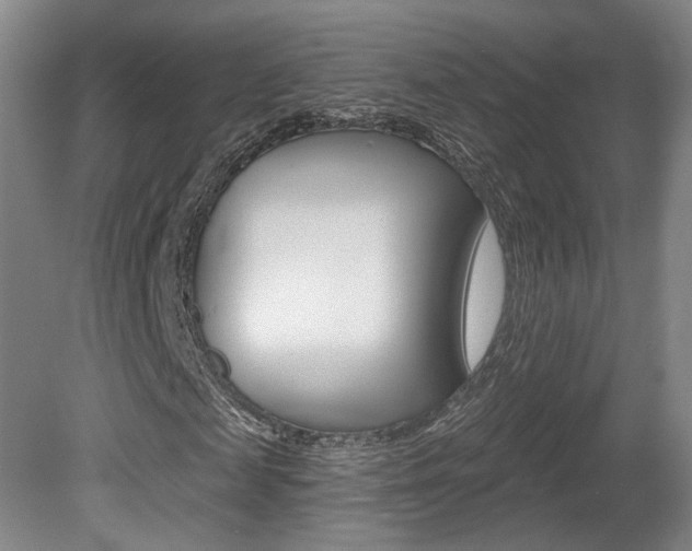 X0000080740817200612150929