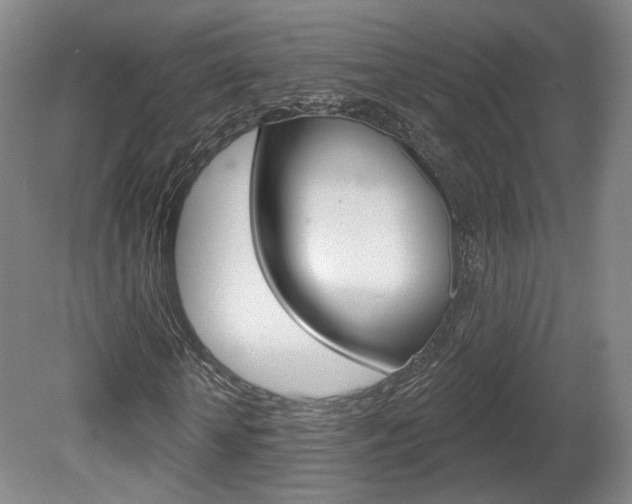 X0000080740818200612150929