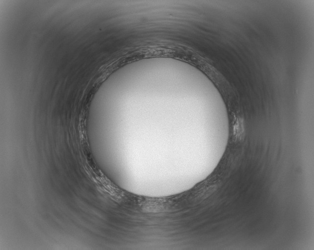 X0000080740819200612150929