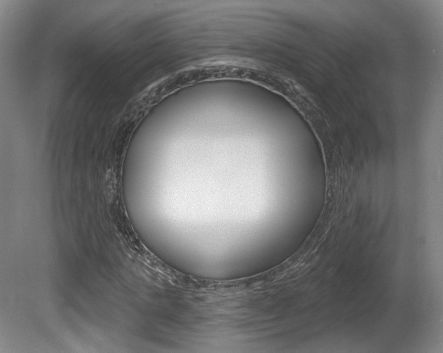 X0000080740821200612150929