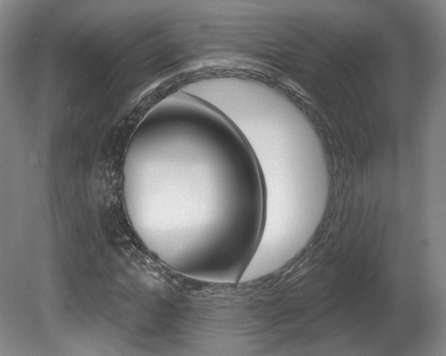 X0000080740822200612150929