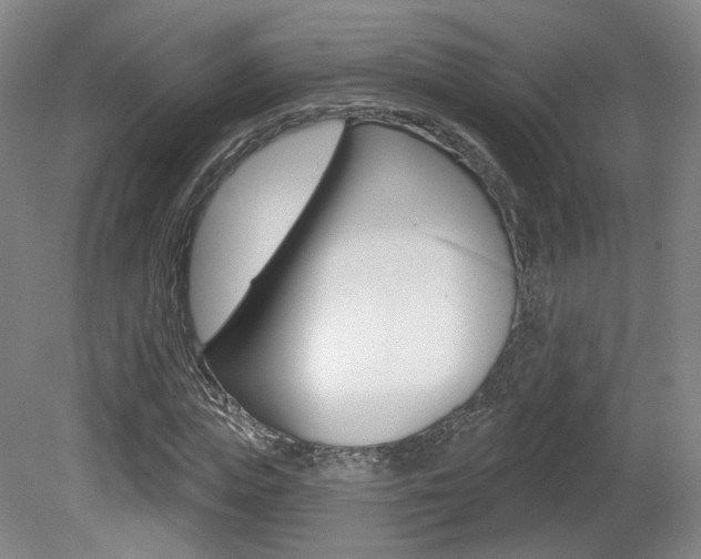 X0000080740823200612150930