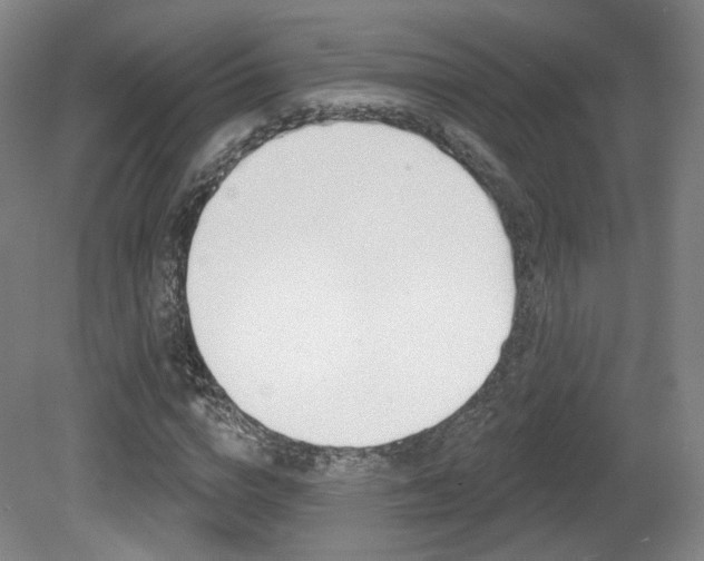X0000080740824200612150930