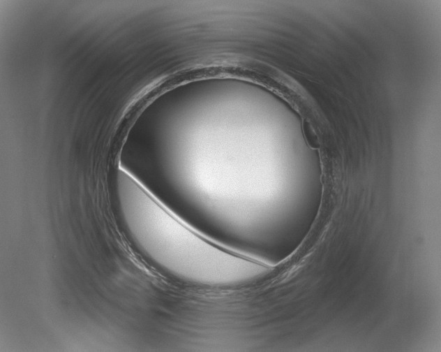 X0000080740826200612150930