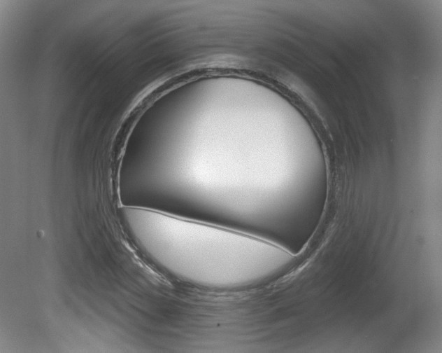 X0000080740829200612150930