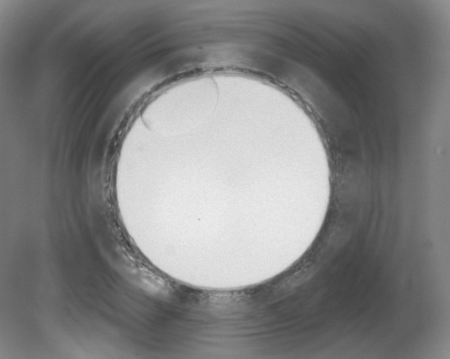 X0000080740832200612150930