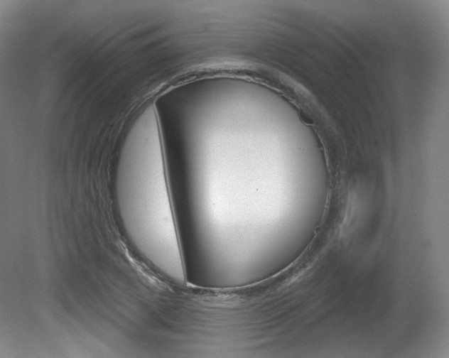 X0000080740833200612150930