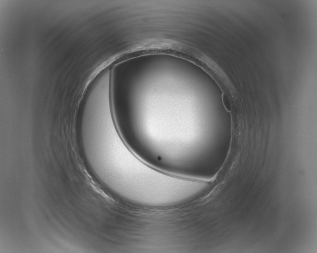 X0000080740834200612150930