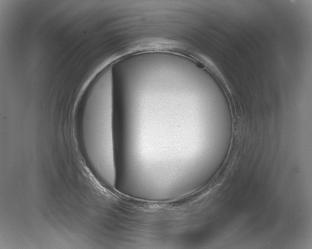 X0000080740835200612150930
