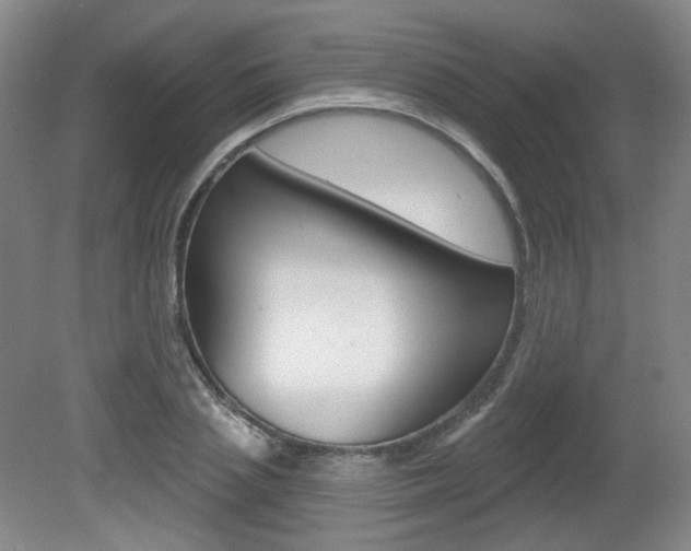 X0000080740837200612150930