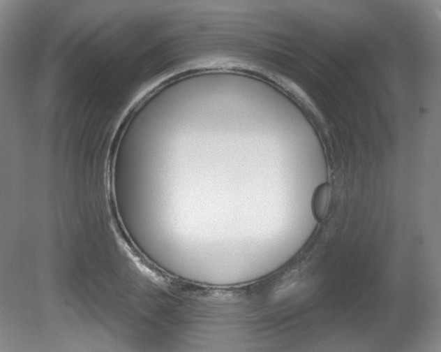 X0000080740839200612150930