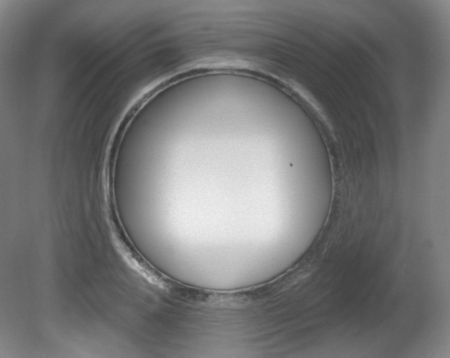 X0000080740840200612150930