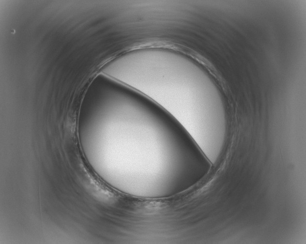 X0000080740841200612150930