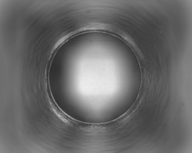X0000080740842200612150930