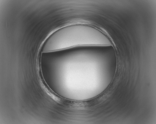 X0000080740843200612150930