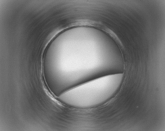 X0000080740844200612150930
