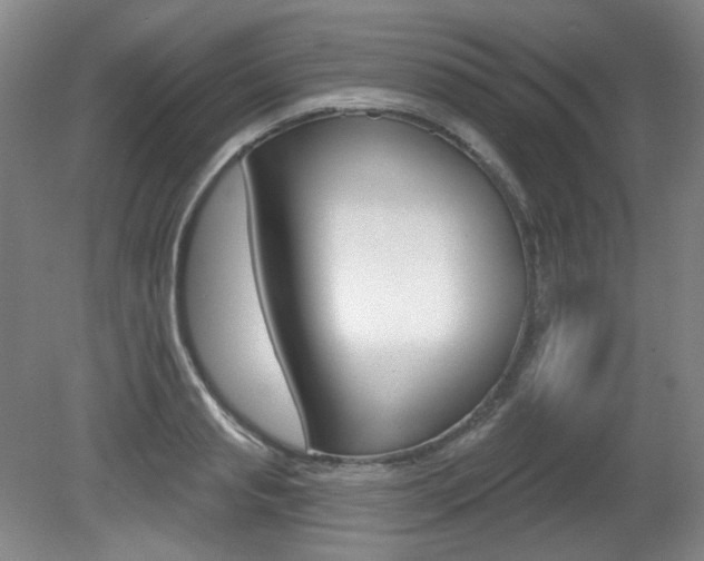 X0000080740845200612150930