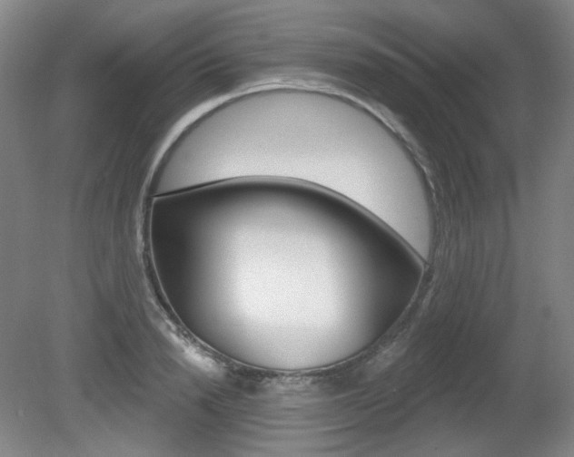 X0000080740846200612150930