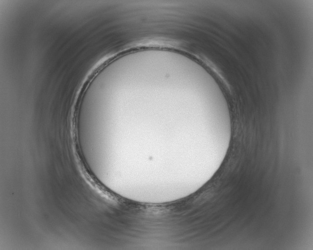 X0000080740848200612150930