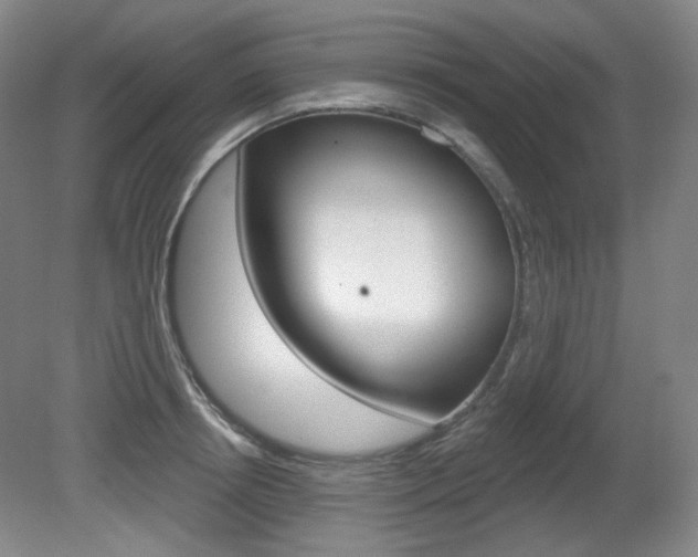 X0000080740850200612150930