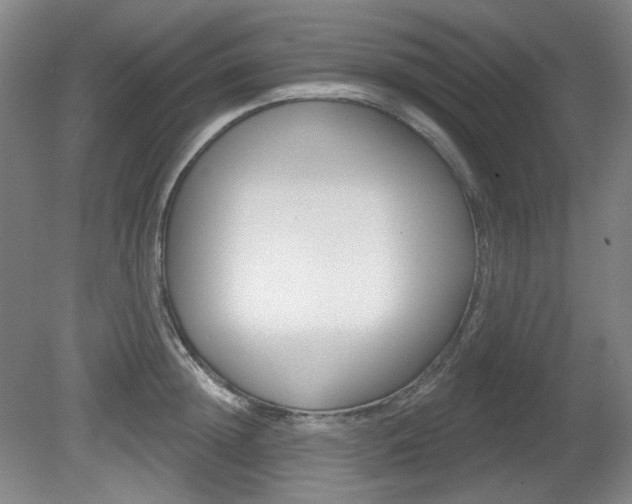 X0000080740852200612150930