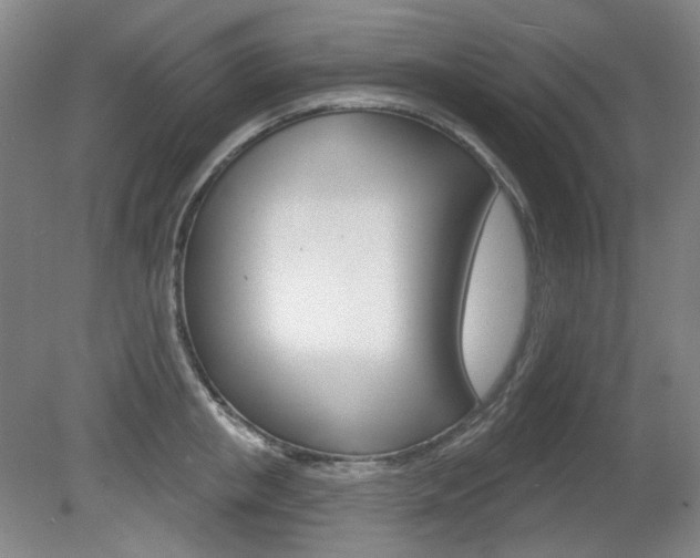 X0000080740853200612150930