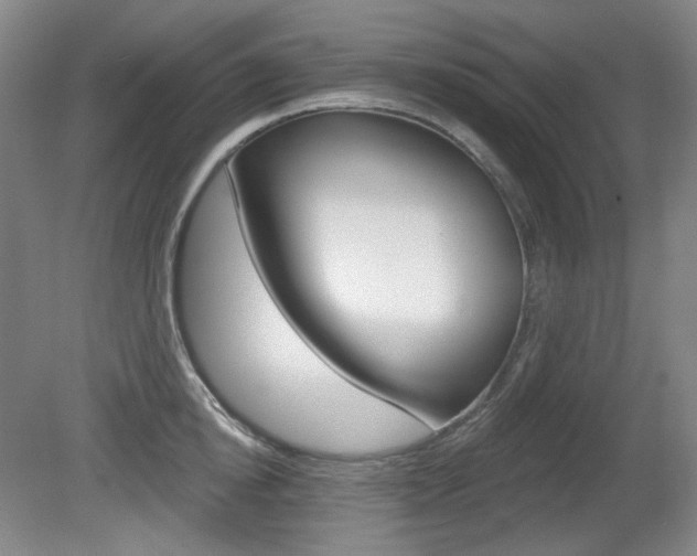 X0000080740854200612150930