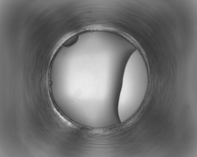 X0000080740855200612150930