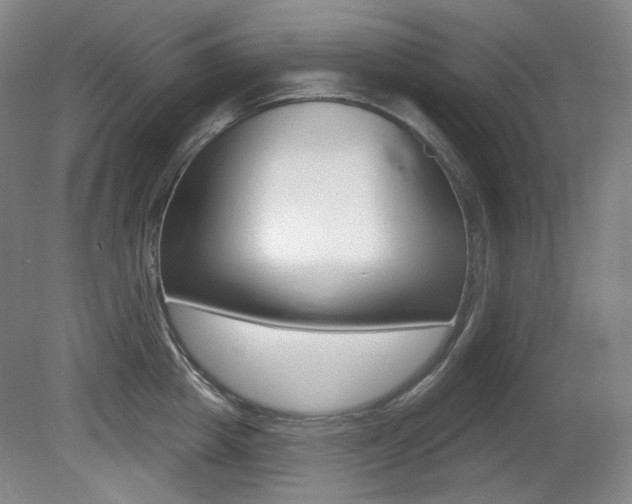 X0000080740857200612150930