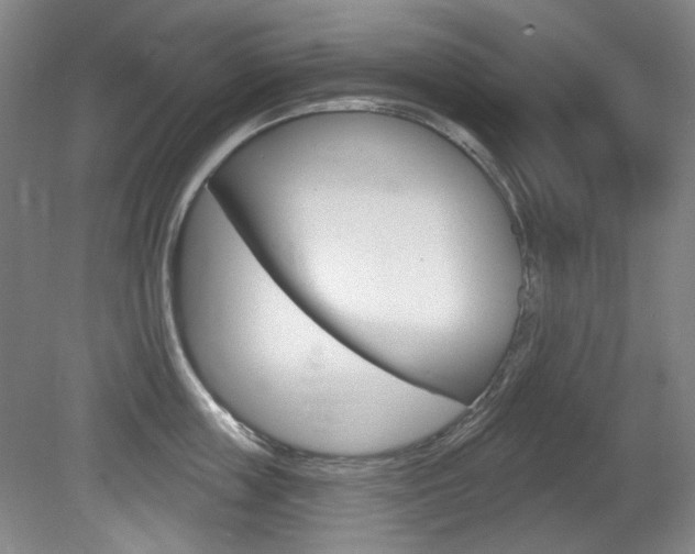 X0000080740859200612150930