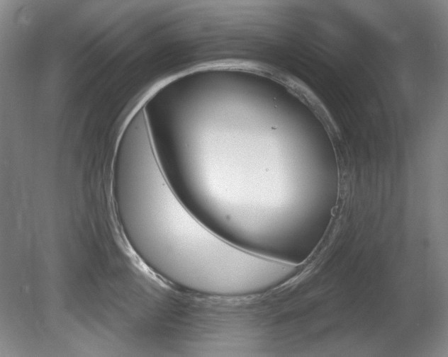 X0000080740860200612150930