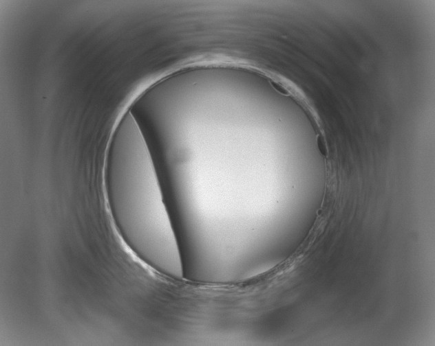 X0000080740863200612150930