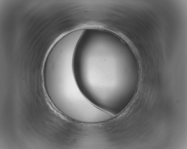 X0000080740864200612150930