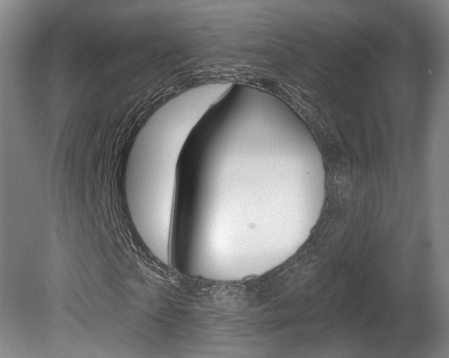 X0000080740865200612150929